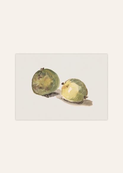 Two Apples Poster