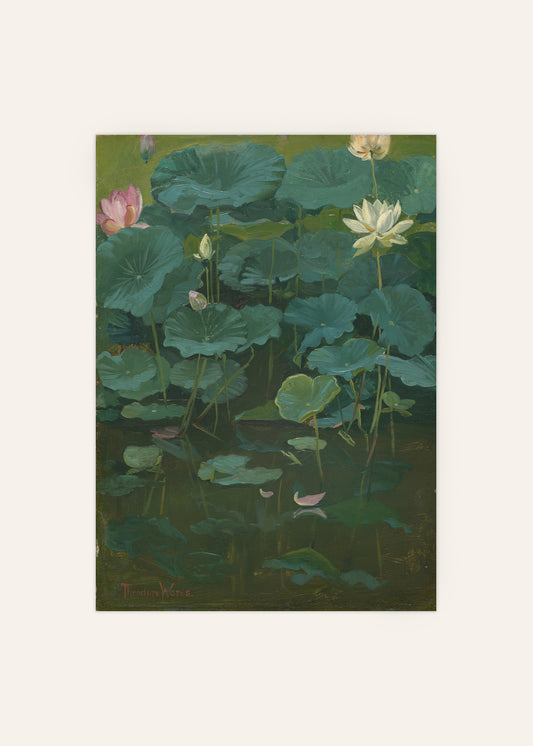 Lotus Flower Poster