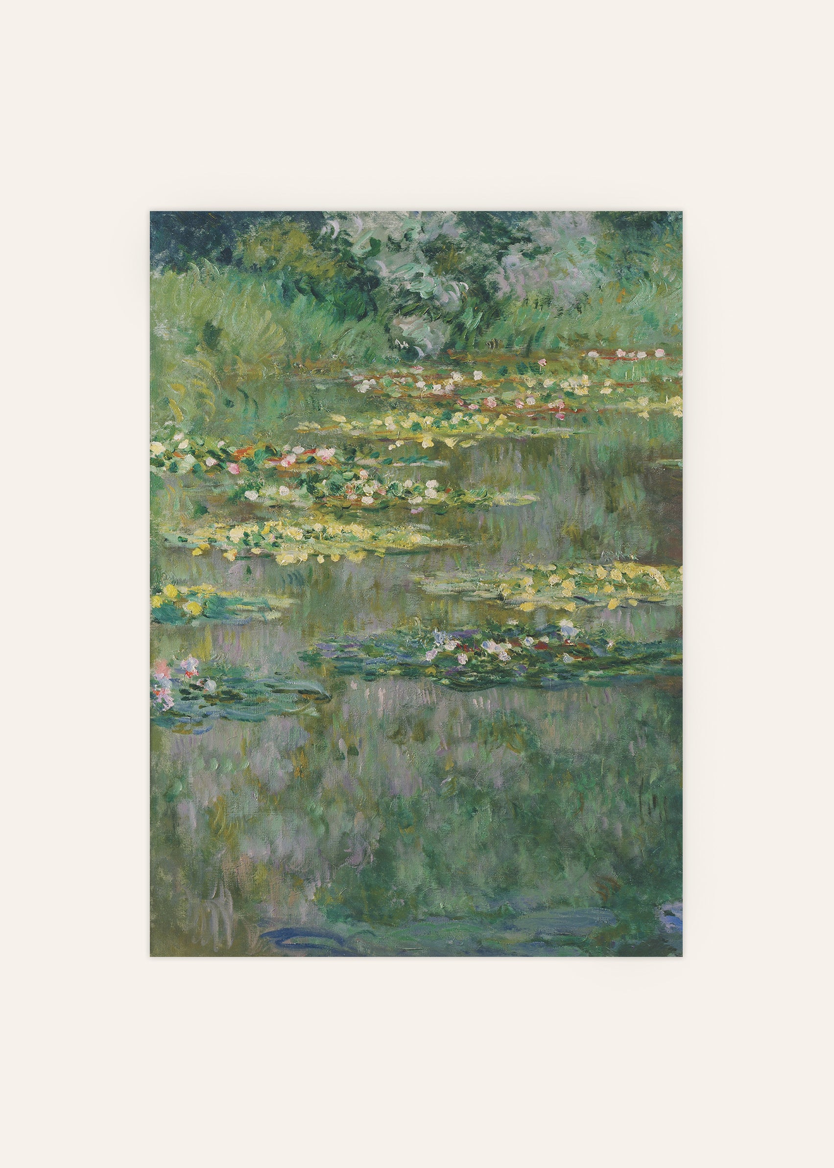 Lily Pads Botanical Poster