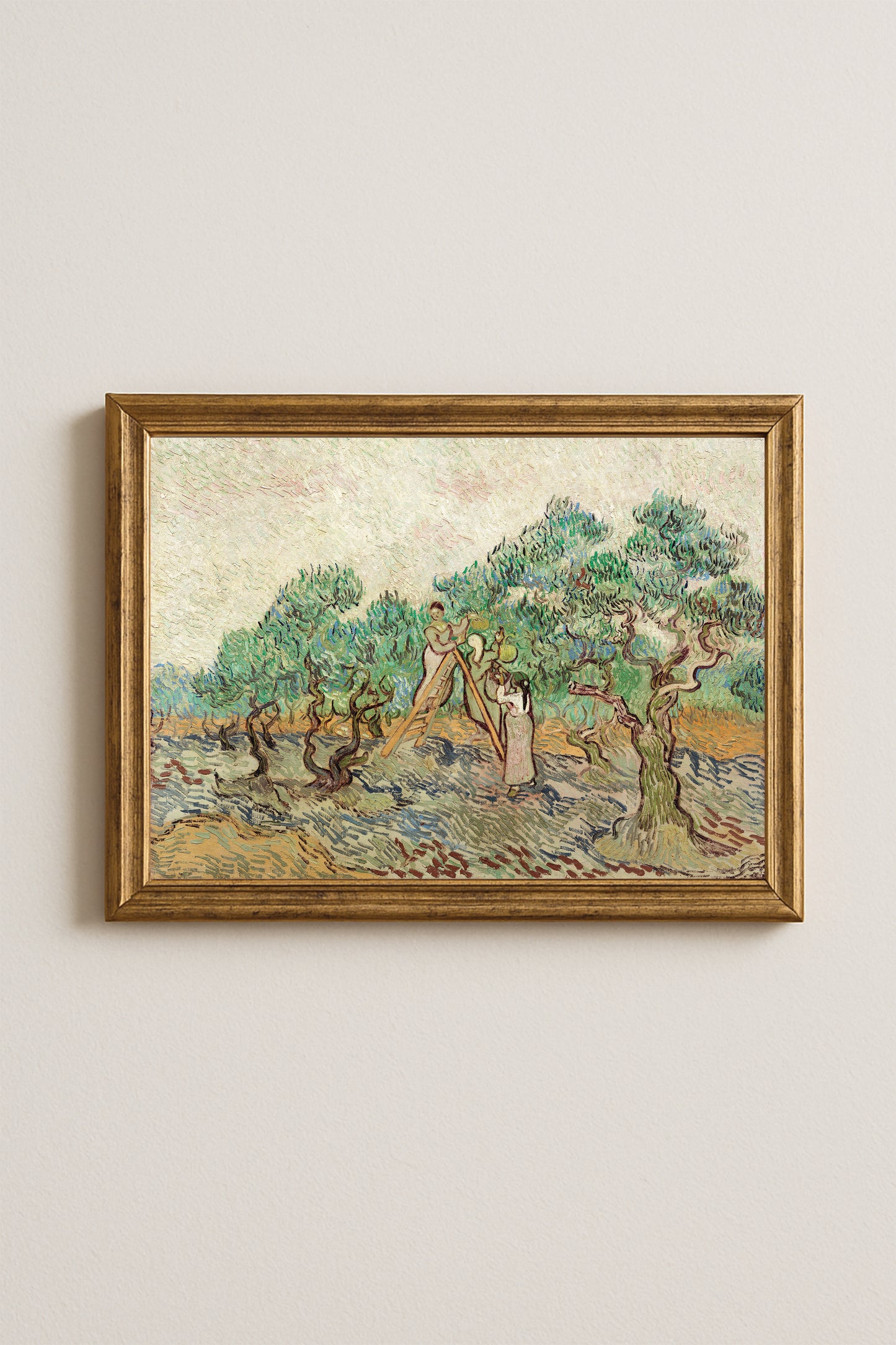 Vincent van Gogh The Olive Orchard Poster