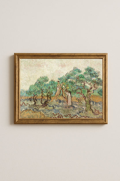 Vincent van Gogh The Olive Orchard Poster