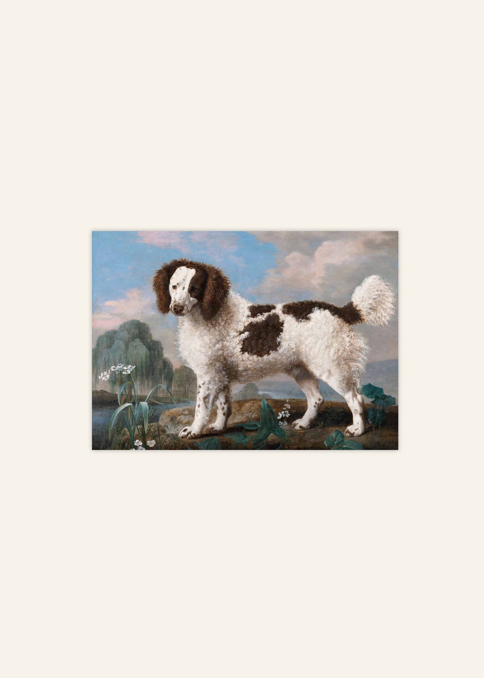 Water Spaniel Poster George Stubbs