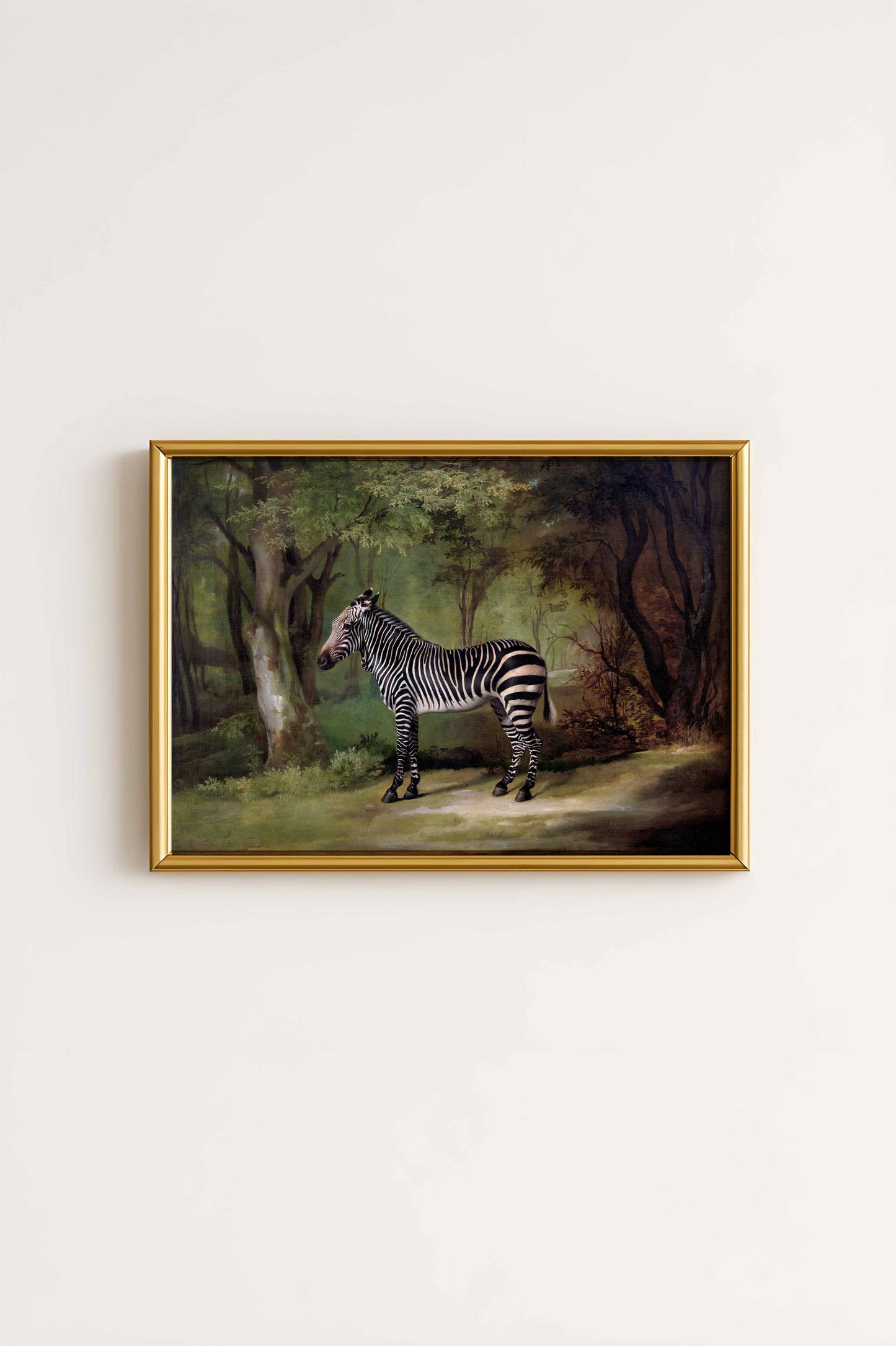 Zebra In The Wild Poster