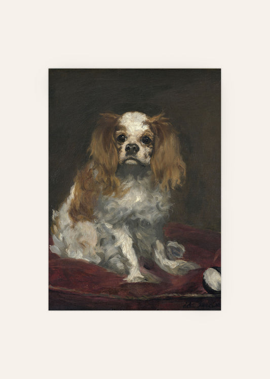 Édouard Manet - King Charles Spaniel Poster